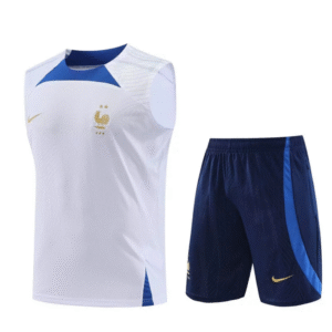 Conjunto de Entrenamiento Selección de Francia